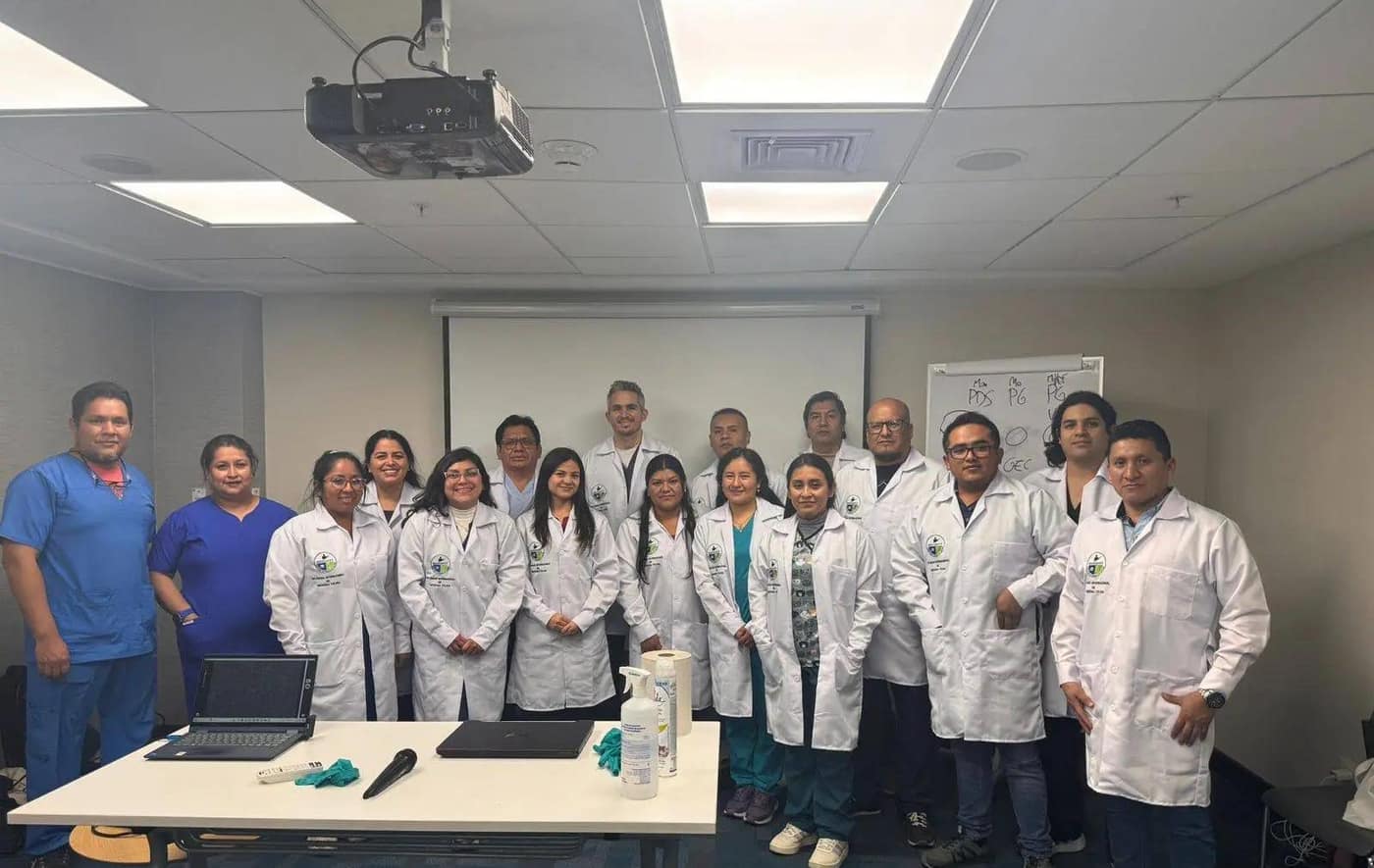 Medicina felina: odontología