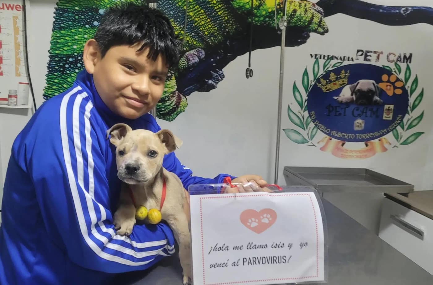 ¡Superó el parvovirus!